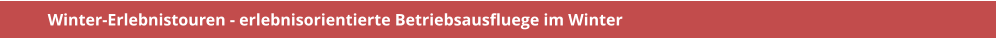 Winter-Erlebnistouren - erlebnisorientierte Betriebsausfluege im Winter