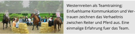 Westernreiten als Teamtraining;  Einfuehlsame Kommunkation und Ver- trauen zeichnen das Verhaeltnis  zwischen Reiter und Pferd aus. Eine  einmalige Erfahrung fuer das Team.