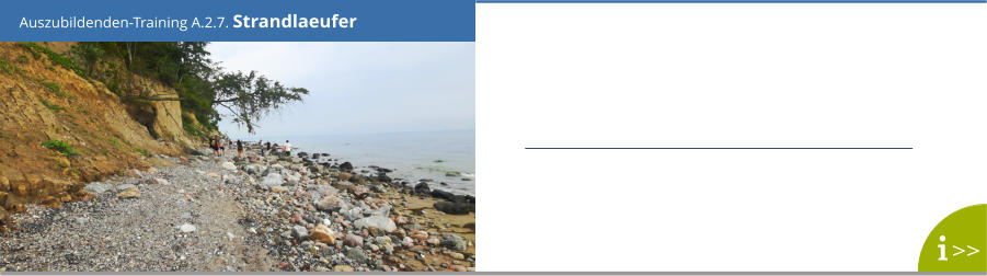 Auszubildenden-Training A.2.7. Strandlaeufer >>